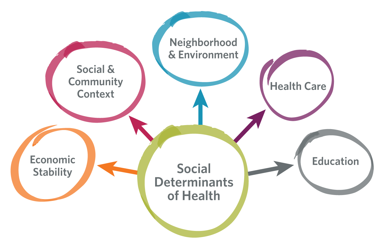 Research Info Social Determinants Of Health DAAA